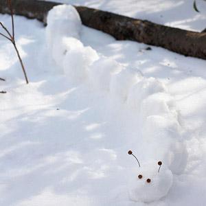 Profitez de l'hiver ou quoi faire dans la neige avec les enfants Profitez de l'hiver ou quoi faire dans la neige avec les enfants