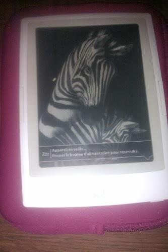 Mes acquisitions (1)