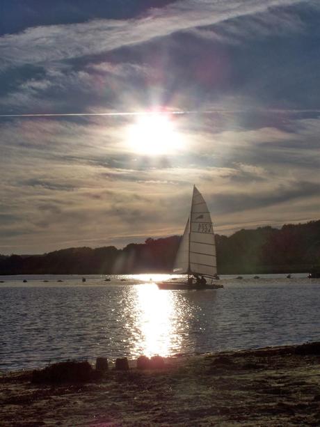 Bivouac à la belle étoile