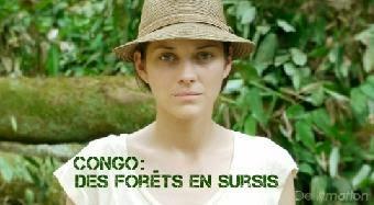 L'arbre qui cache la forêt L'arbre qui cache la forêt