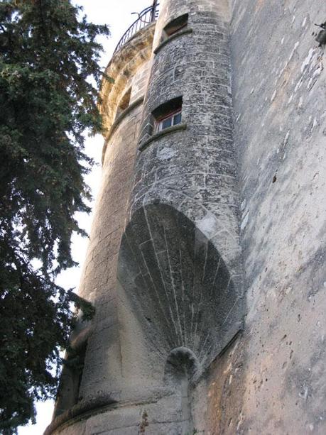 Une trompe à Valliguières (30)