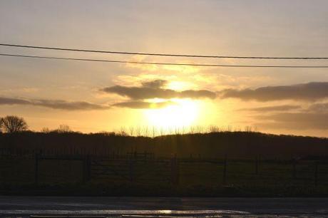 Coline se raconte 26012014