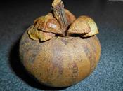 (function(d){ 'facebook-jssdk'; (d.getEle...