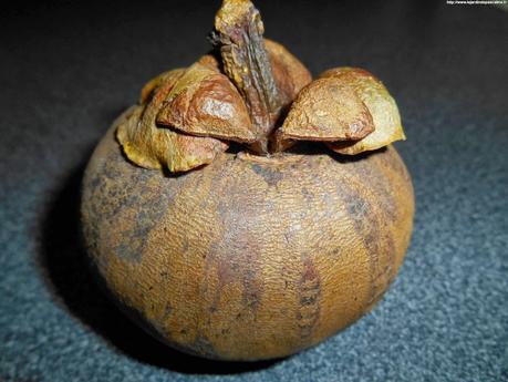 (function(d){ var js, id = 'facebook-jssdk'; if (d.getEle...