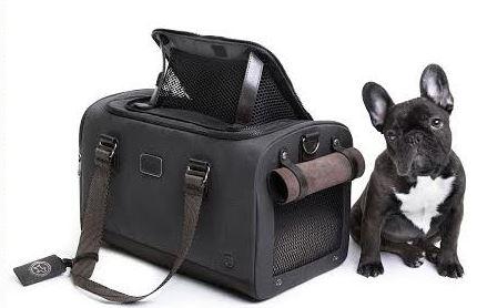 Même les chiens ont leurs bagages TUMI…. 