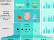 infographie pour mieux organiser frigo