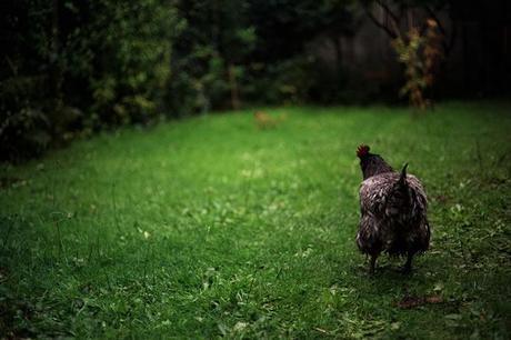 Barbara Harsch et Bas Ruyters à la Galerie Verhaeren de Bruxelles expo Ruyters 2 Barbara Harsch et Bas Ruyters à la Galerie Verhaeren de Bruxelles