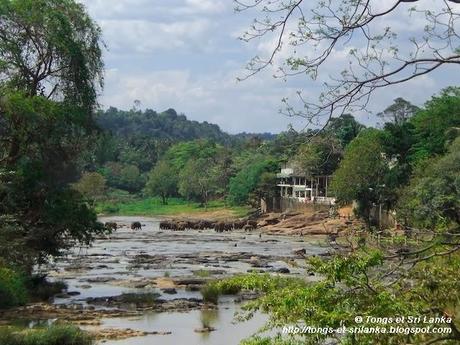 Mon premier voyage au Sri Lanka : 2008 ou l’année de la découverte d’un pays à l’état brut