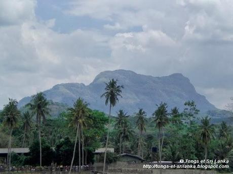 Mon premier voyage au Sri Lanka : 2008 ou l’année de la découverte d’un pays à l’état brut