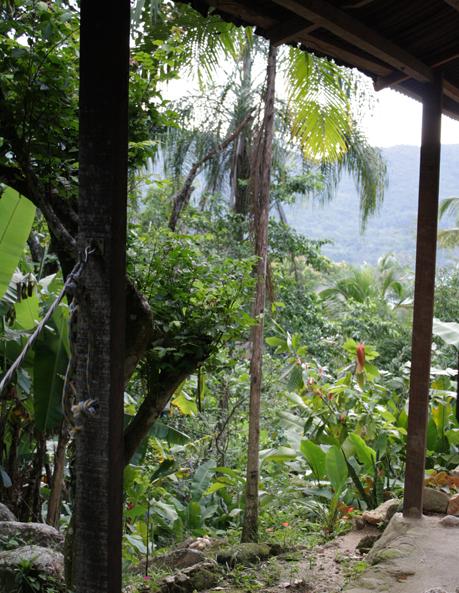 Brasil #2 Ilha Grande