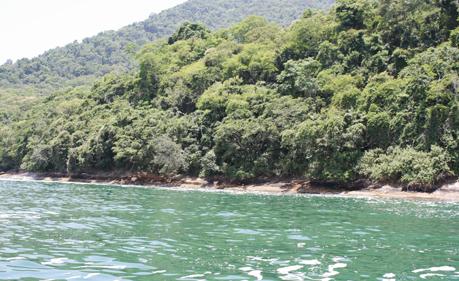 Brasil #2 Ilha Grande