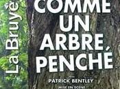Comme arbre penché