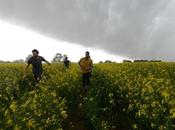 Folk 2014 collection lookbook