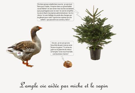 LES DEUX DOIGTS DE SAPIN ET LA... DE HOLLANDE