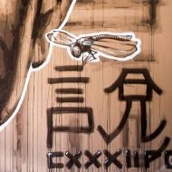 Montpellier : Le Projet FMR Montpellier : Le Projet FMR