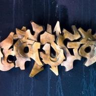 Montpellier : Le Projet FMR Montpellier : Le Projet FMR