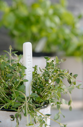 Maison & Objet : un peu, beaucoup, passionnément...