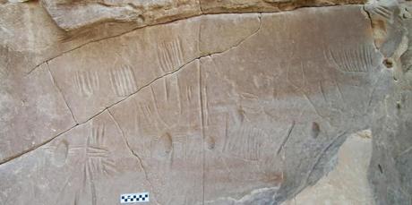 Le seul exemple connu d'araignées en art rupestre reste un mystère archéologique