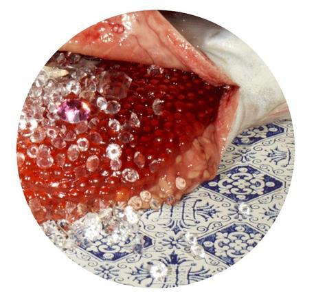 Pierres précieuses et petit poisson farci...!