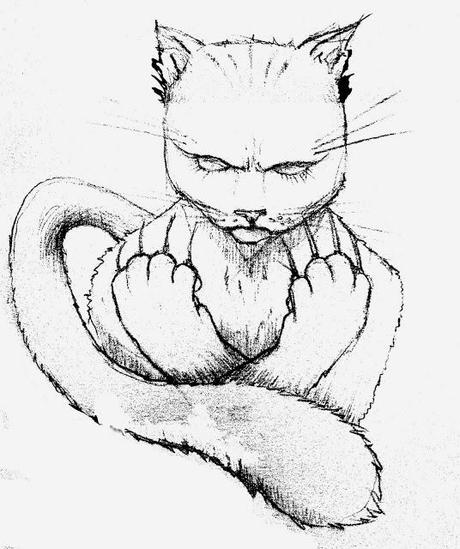 Illustrations : Animalité