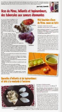 Ocas du Pérou, héliantis et topinambours