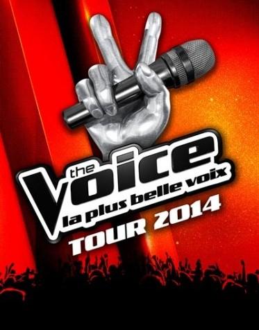 the voice tour 2014