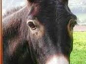 1/02 L'avenir assuré.