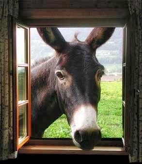 1/02 L'avenir est assuré.