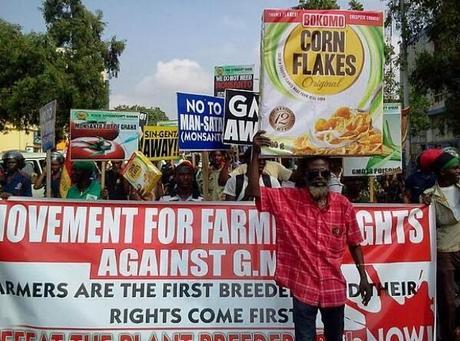 Ghana contre les OGM
