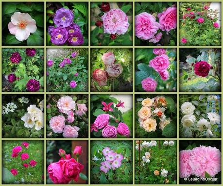 Rétro Juillet 2013...