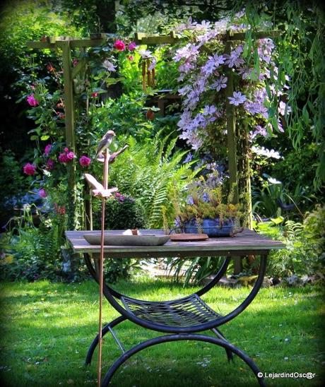 Rétro Juillet 2013...