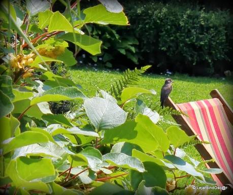 Rétro Juillet 2013...