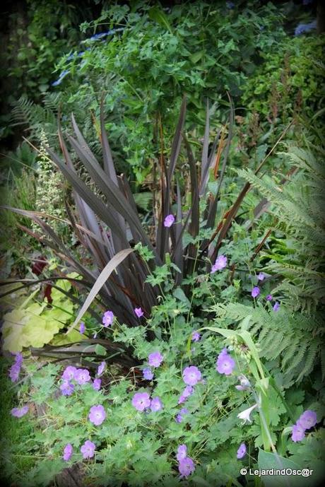 Rétro Juillet 2013...