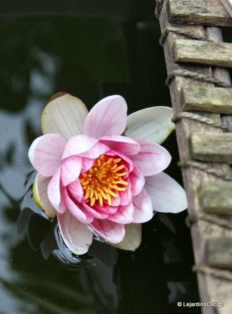 Rétro Juillet 2013...