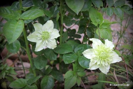 Rétro Juillet 2013...