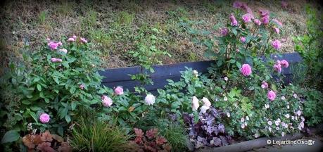 Rétro Juillet 2013...