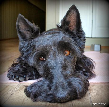 Rétro Juillet 2013...