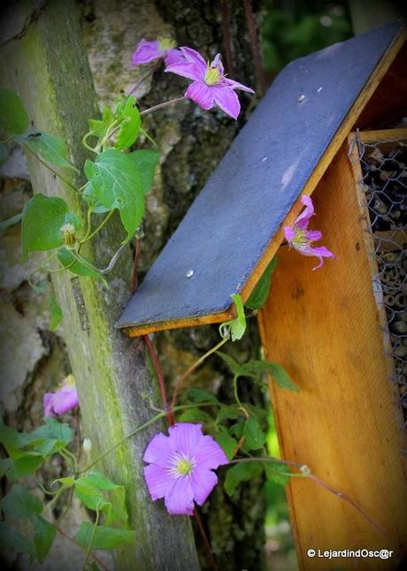 Rétro Juillet 2013...