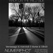 Exposition  « Walk On The Wild Side » de Fabien Sans à Numériphot