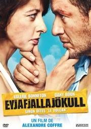 dvd eyjafjallajokull le volcan Eyjafjallajökull en DVD : un couple volcanique