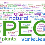 Ce que Darwin n’a pas dit