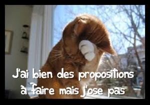 Les Français favorables à des propositions-choc sur le chômage, vraiment ? shy cat propositions