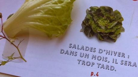 Une note d'optimisme dans mon panier...!