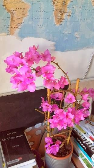 Une note d'optimisme dans mon panier...!