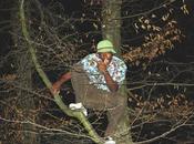 Beny Brownies Molarre Trash