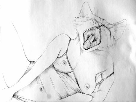 Devenir animal - Illustrations