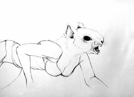 Devenir animal - Illustrations