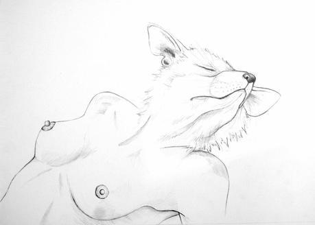 Devenir animal - Illustrations