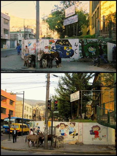Les vendeurs d'ânes de l'avenida Mariscal Sucre (Il s'est écoulé... dernière édition)