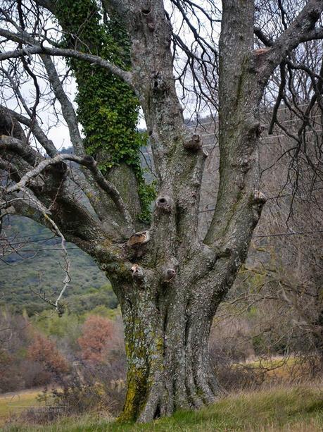 1656375_624565107591421_1411479204_n